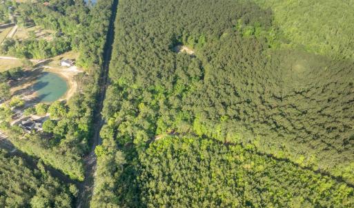 Photo #7 of Etheridge Dr., Andrews, SC 1.2 acres