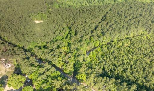 Photo #3 of Etheridge Dr., Andrews, SC 1.2 acres