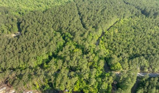 Photo #5 of Etheridge Dr., Andrews, SC 1.2 acres