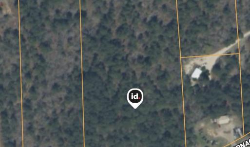 Photo #7 of 939 Tabernacle Rd, Salley, SC 8.8 acres