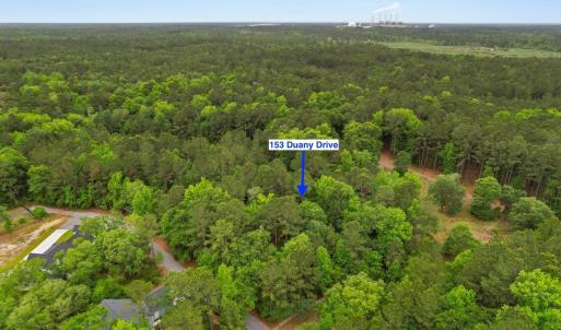 Photo #3 of 153 Duany Dr., Georgetown, SC 0.3 acres