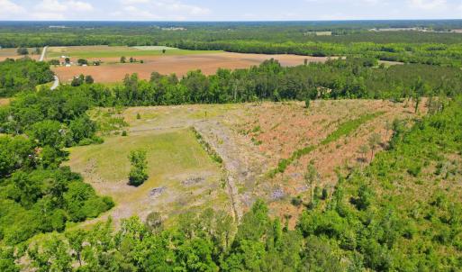 Photo #9 of TBD Highway 792, Loris, SC 21.9 acres