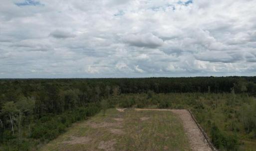 Photo #2 of TBD Terrell's Bay Rd., Centenary, SC 65.0 acres
