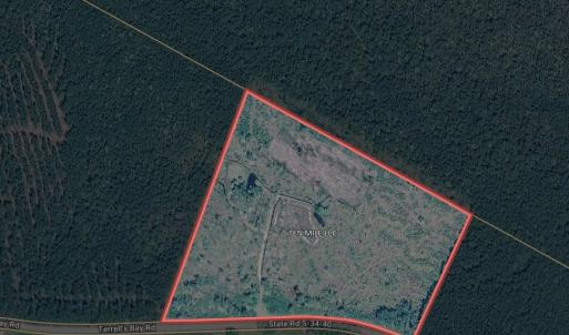 Photo #1 of TBD Terrell's Bay Rd., Centenary, SC 65.0 acres
