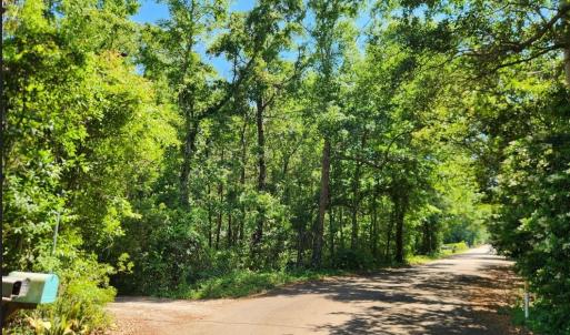 Photo #3 of 9 Ditch Digger Ln., Murrells Inlet, SC 0.5 acres
