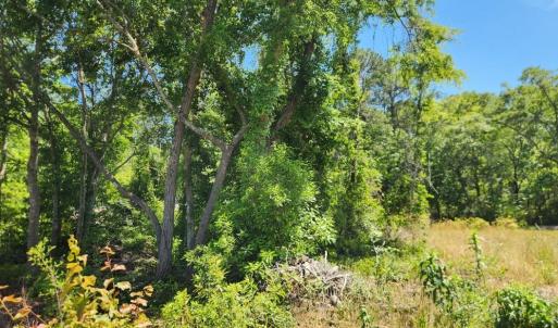 Photo #1 of 9 Ditch Digger Ln., Murrells Inlet, SC 0.5 acres