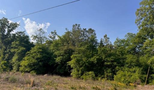 Photo #6 of 2716 W Highway 378 Hannah, Gresham, SC 0.5 acres