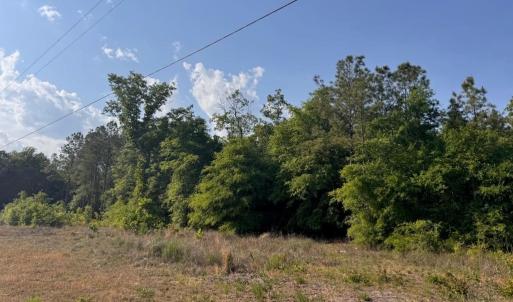 Photo #5 of 2716 W Highway 378 Hannah, Gresham, SC 0.5 acres