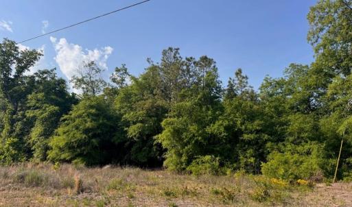 Photo #1 of 2716 W Highway 378 Hannah, Gresham, SC 0.5 acres
