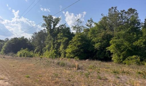 Photo #3 of 2716 W Highway 378 Hannah, Gresham, SC 0.5 acres