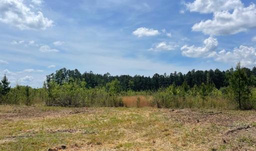 Photo #3 of TBD 30 ac Rocky Ford Rd., Salters, SC 30.0 acres