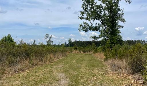 Photo #7 of TBD 30 ac Rocky Ford Rd., Salters, SC 30.0 acres
