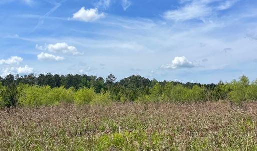 Photo #5 of TBD 30 ac Rocky Ford Rd., Salters, SC 30.0 acres