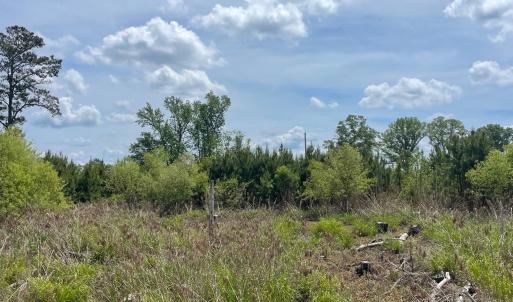 Photo #4 of TBD 30 ac Rocky Ford Rd., Salters, SC 30.0 acres