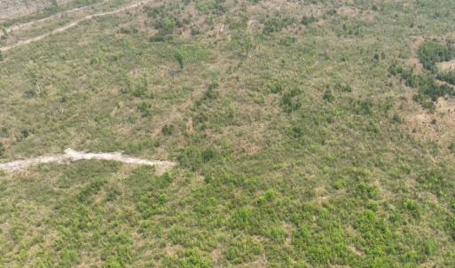 Photo #9 of TBD 30 ac Rocky Ford Rd., Salters, SC 30.0 acres