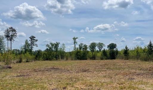 Photo #6 of TBD 30 ac Rocky Ford Rd., Salters, SC 30.0 acres