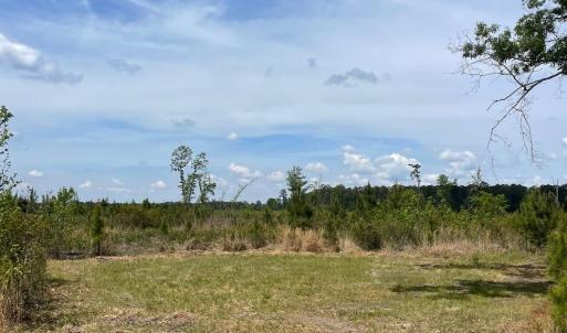 Photo #8 of TBD 30 ac Rocky Ford Rd., Salters, SC 30.0 acres