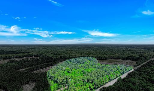 Photo #2 of TBD Piney Grove Church Rd, Gresham, SC 12.0 acres