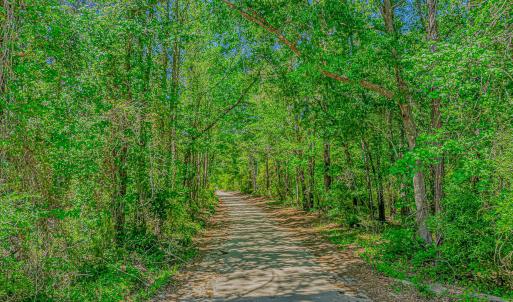 Photo #1 of TBD Piney Grove Church Rd, Gresham, SC 12.0 acres