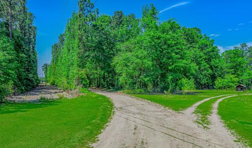 Photo #7 of TBD Piney Grove Church Rd, Gresham, SC 12.0 acres