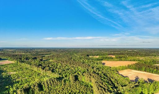 Photo #35 of TBD Chair Rd., Hemingway, SC 30.2 acres