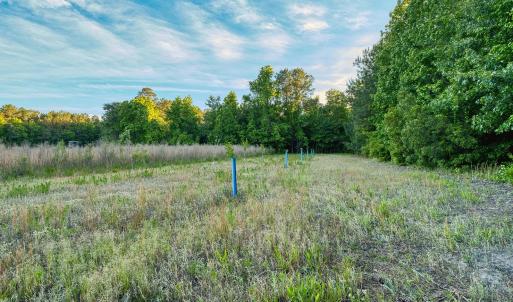 Photo #26 of TBD Chair Rd., Hemingway, SC 30.2 acres