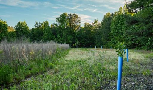 Photo #27 of TBD Chair Rd., Hemingway, SC 30.2 acres