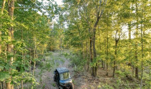 Photo #10 of TBD Chair Rd., Hemingway, SC 30.2 acres