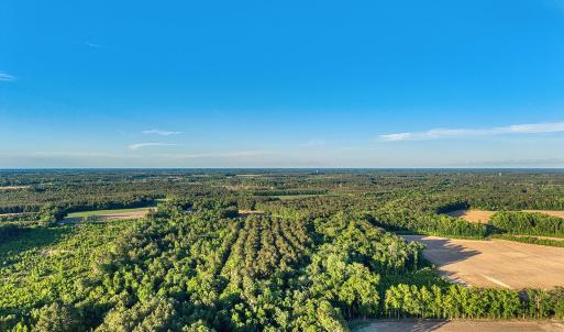 Photo #36 of TBD Chair Rd., Hemingway, SC 30.2 acres