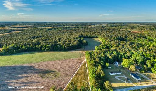 Photo #7 of TBD Chair Rd., Hemingway, SC 30.2 acres