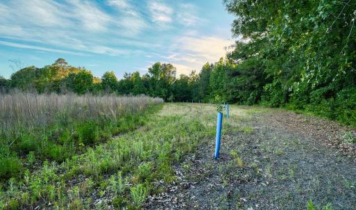 Photo #32 of TBD Chair Rd., Hemingway, SC 30.2 acres