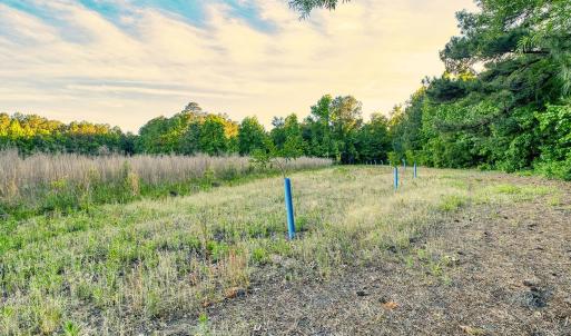 Photo #25 of TBD Chair Rd., Hemingway, SC 30.2 acres