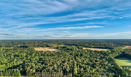 Photo #33 of TBD Chair Rd., Hemingway, SC 30.2 acres