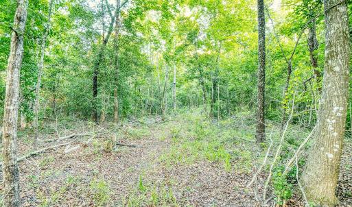 Photo #11 of TBD Chair Rd., Hemingway, SC 30.2 acres