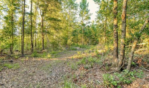 Photo #22 of TBD Chair Rd., Hemingway, SC 30.2 acres
