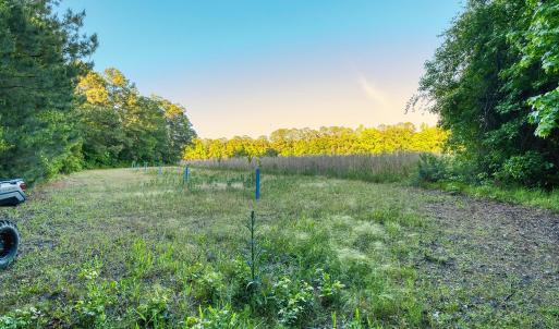 Photo #24 of TBD Chair Rd., Hemingway, SC 30.2 acres
