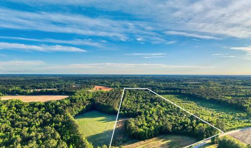 Photo #1 of TBD Chair Rd., Hemingway, SC 30.2 acres