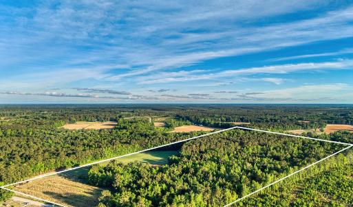 Photo #6 of TBD Chair Rd., Hemingway, SC 30.2 acres