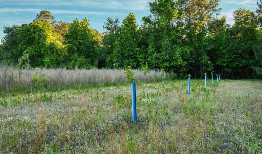 Photo #30 of TBD Chair Rd., Hemingway, SC 30.2 acres