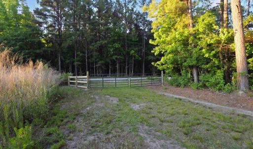 Photo #2 of TBD Chair Rd., Hemingway, SC 30.2 acres