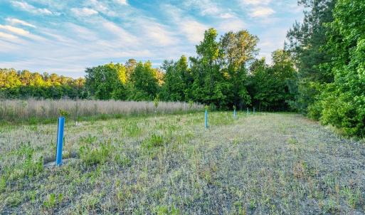 Photo #28 of TBD Chair Rd., Hemingway, SC 30.2 acres