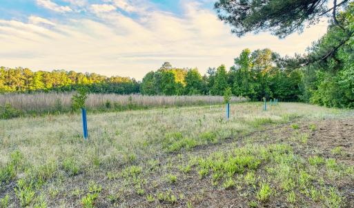 Photo #29 of TBD Chair Rd., Hemingway, SC 30.2 acres