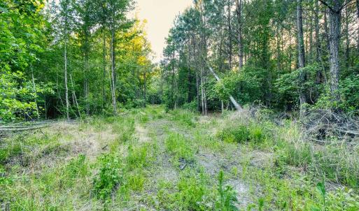 Photo #20 of TBD Chair Rd., Hemingway, SC 30.2 acres