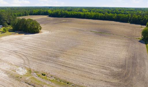 Photo #23 of 9475 Lake Swamp Rd., Nichols, SC 179.0 acres