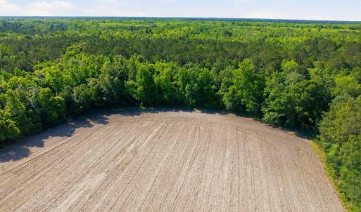 Photo #22 of 9475 Lake Swamp Rd., Nichols, SC 179.0 acres
