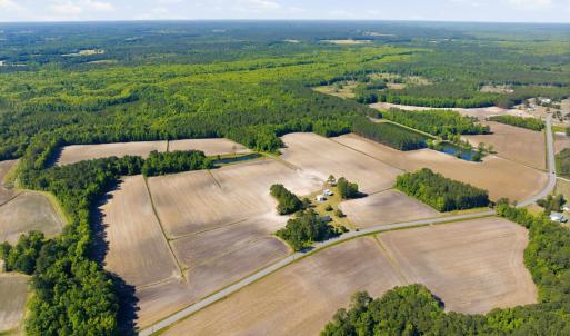 Photo #19 of 9475 Lake Swamp Rd., Nichols, SC 179.0 acres