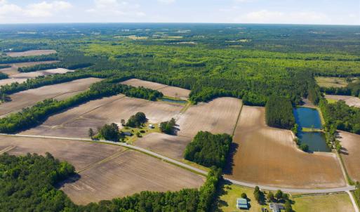 Photo #3 of 9475 Lake Swamp Rd., Nichols, SC 179.0 acres