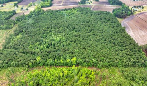 Photo #27 of 9475 Lake Swamp Rd., Nichols, SC 179.0 acres