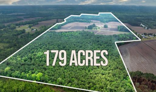 Photo #2 of 9475 Lake Swamp Rd., Nichols, SC 179.0 acres