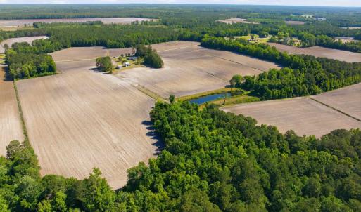 Photo #21 of 9475 Lake Swamp Rd., Nichols, SC 179.0 acres